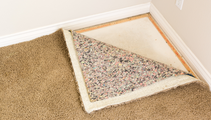 2023 6 9 basements carpets how to prevent mold mildew in your chicagoland home