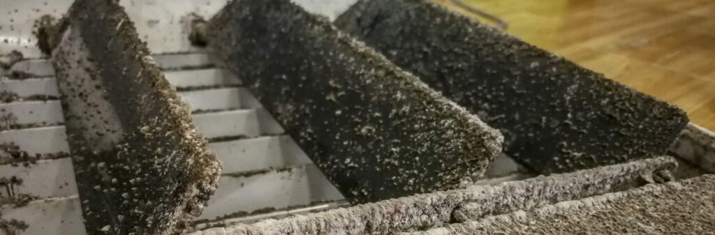 Prevent Mold In HVAC Systems min