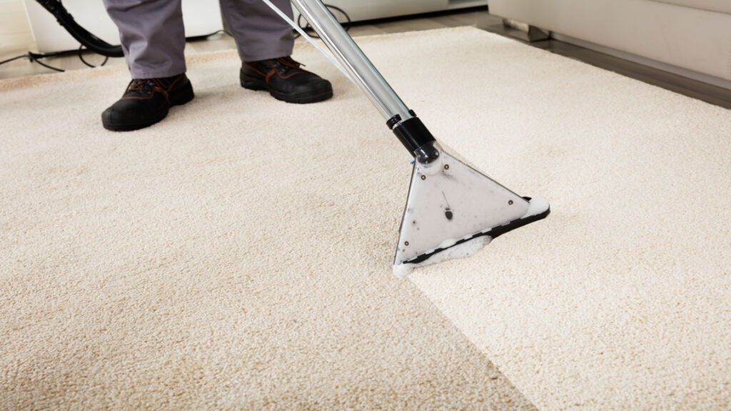 carpet cleaning2