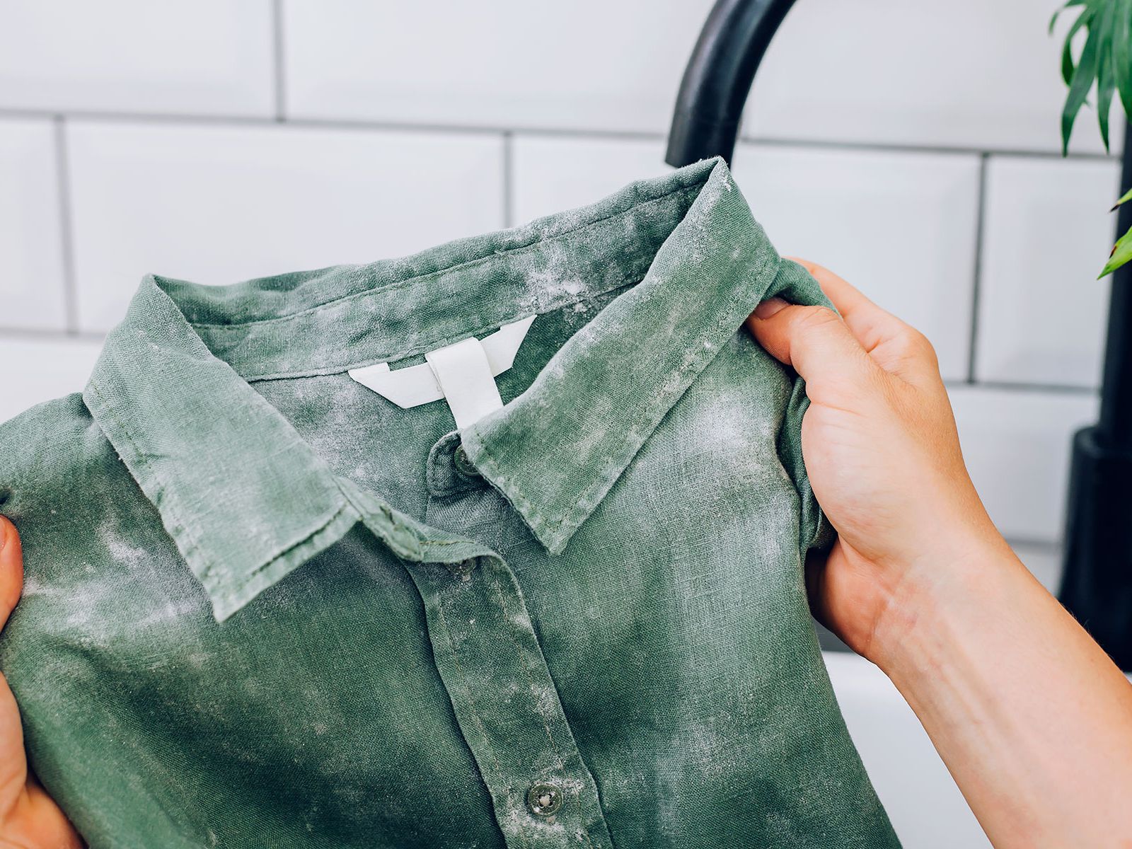 how to remove mold and mildew from clothes