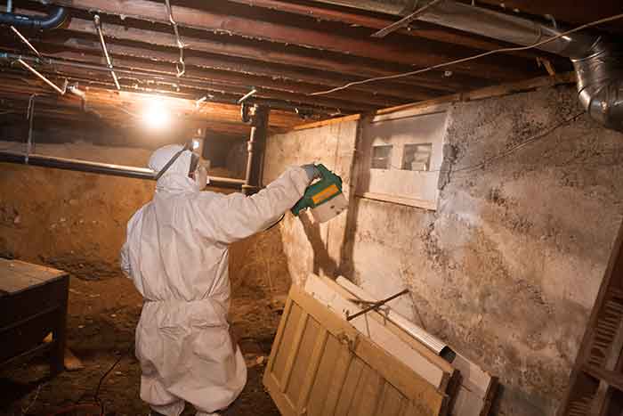 mold in crawl space