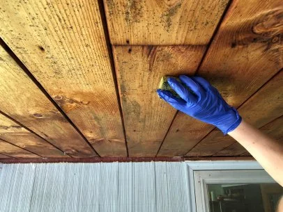 mold on wood how to kill it