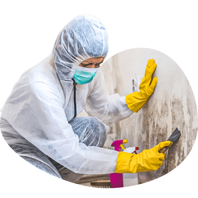 mold remediation technician