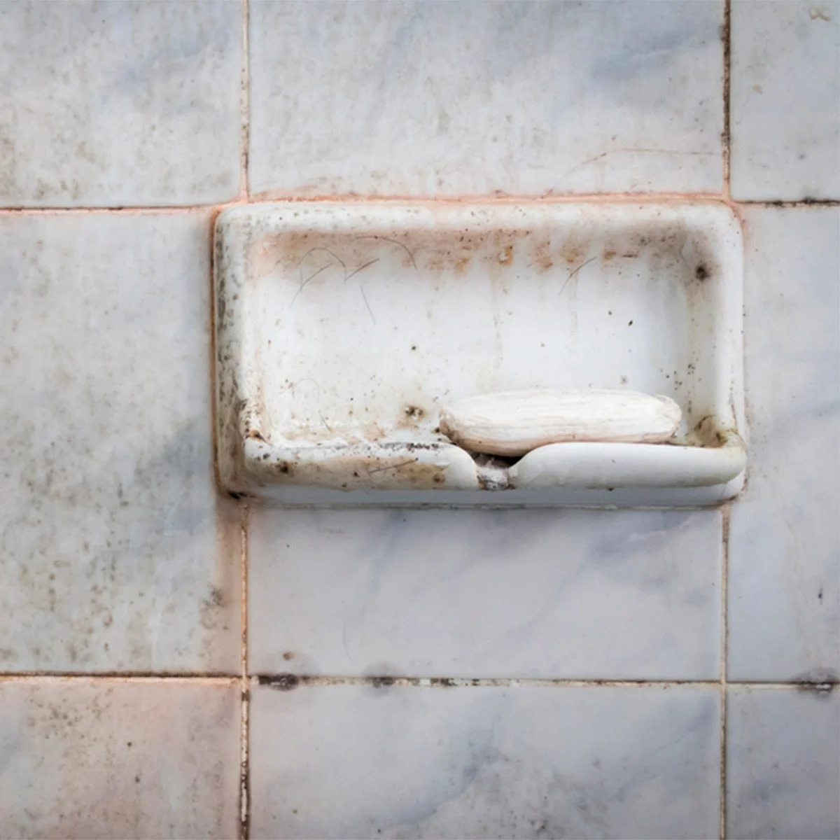 pink mold in shower