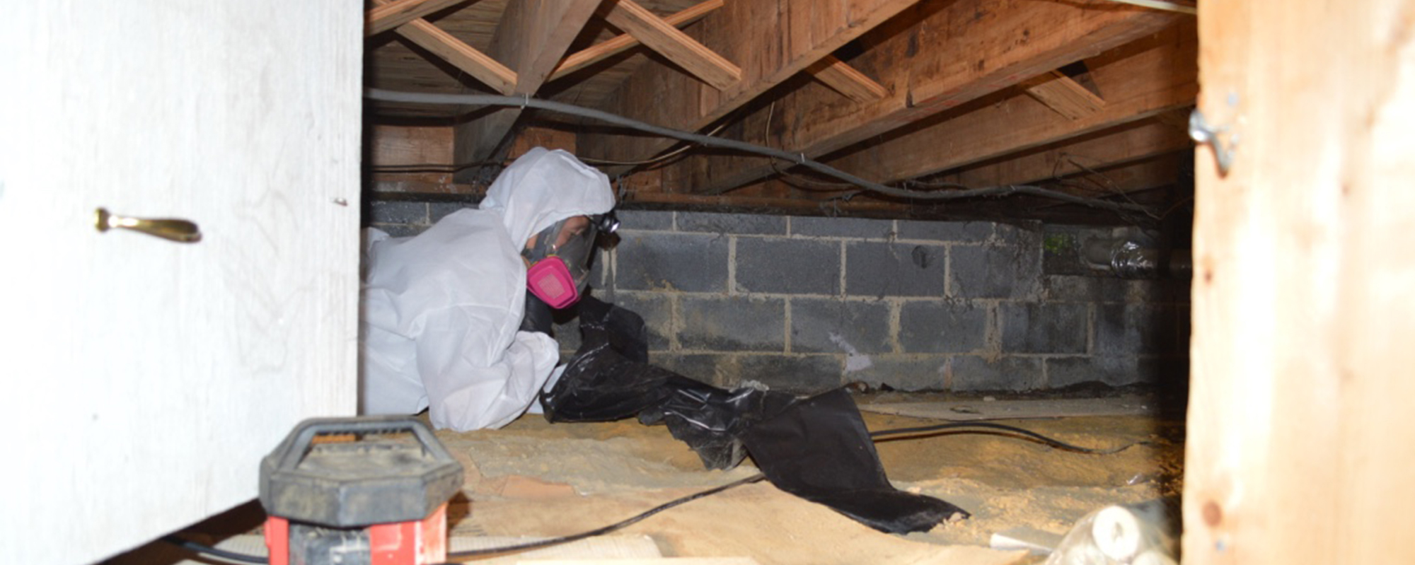 prevent crawl space mold nj