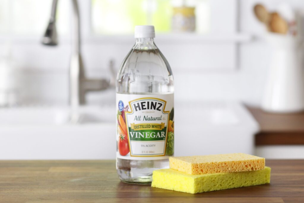 vinegar and sponge e1677188701994