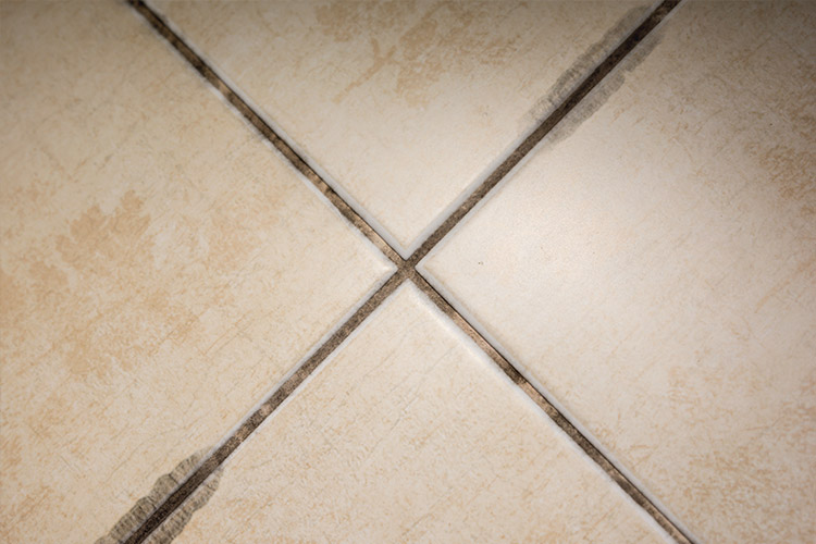 6 reasons to investigate mold mildew on tile surfaces