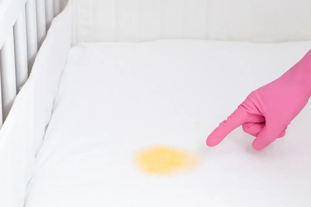 a urine stain on a mattress