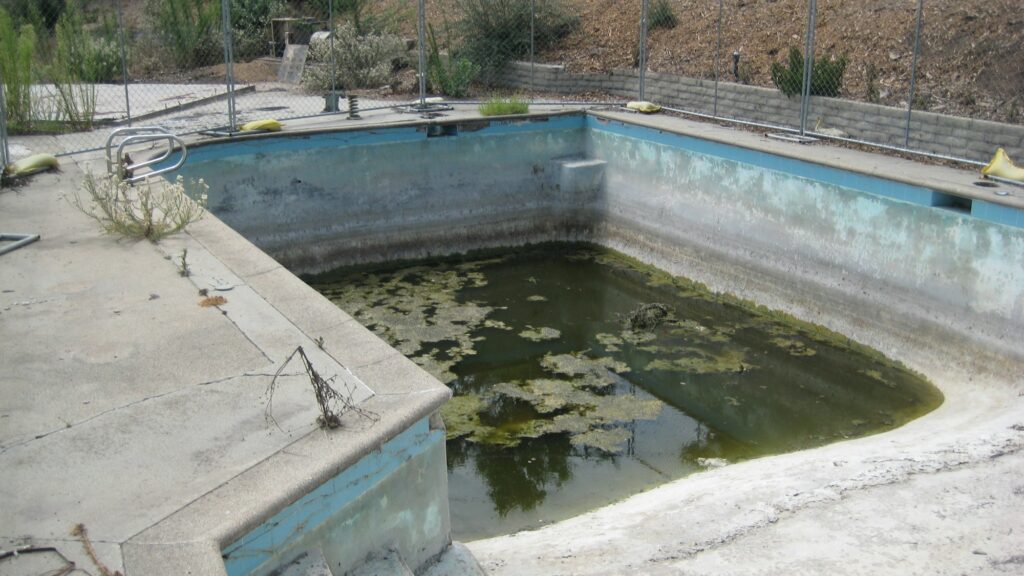 breeding site pool abandoned wignot 190904 2