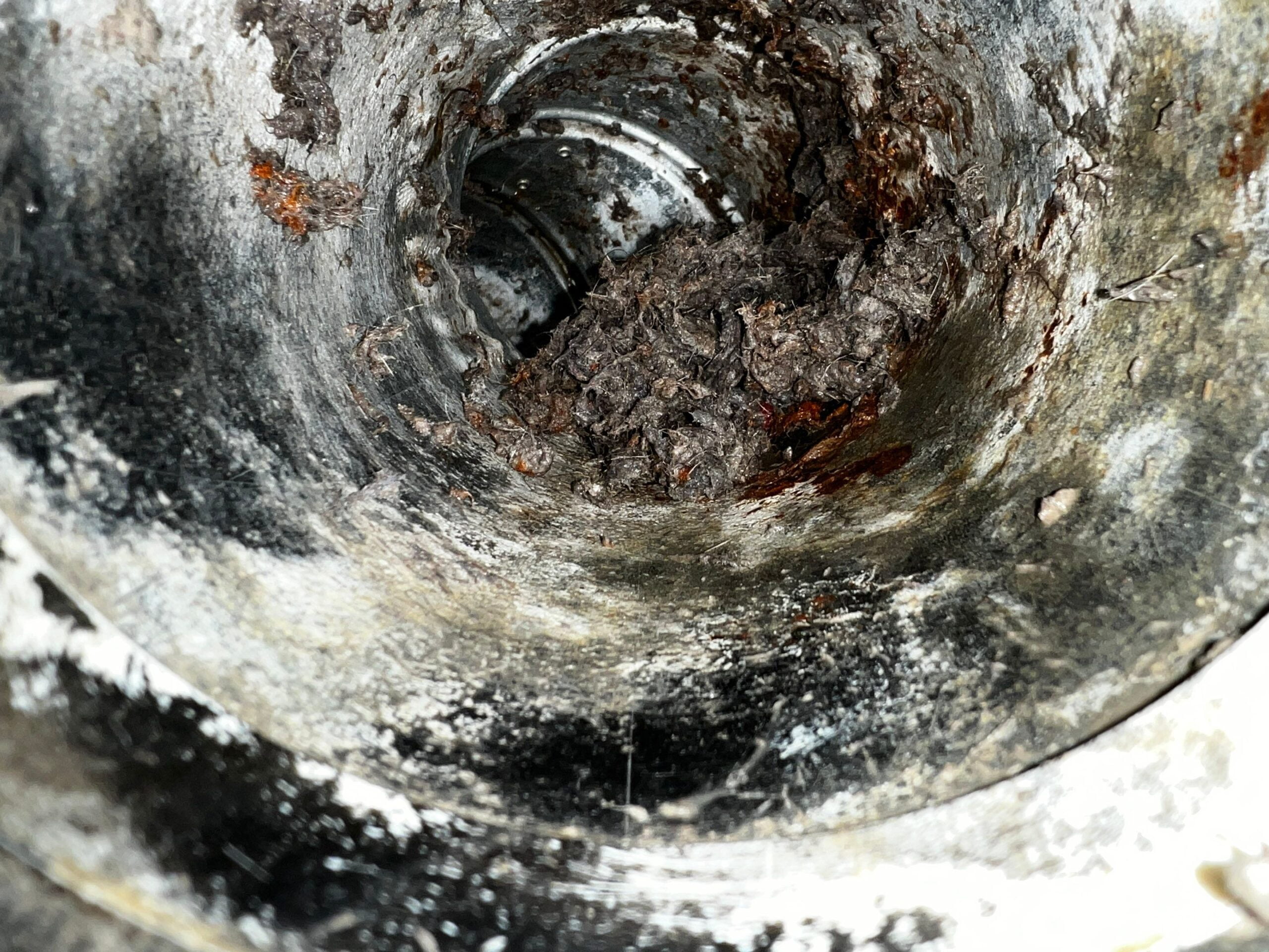 dryer vent bad smell scaled 1