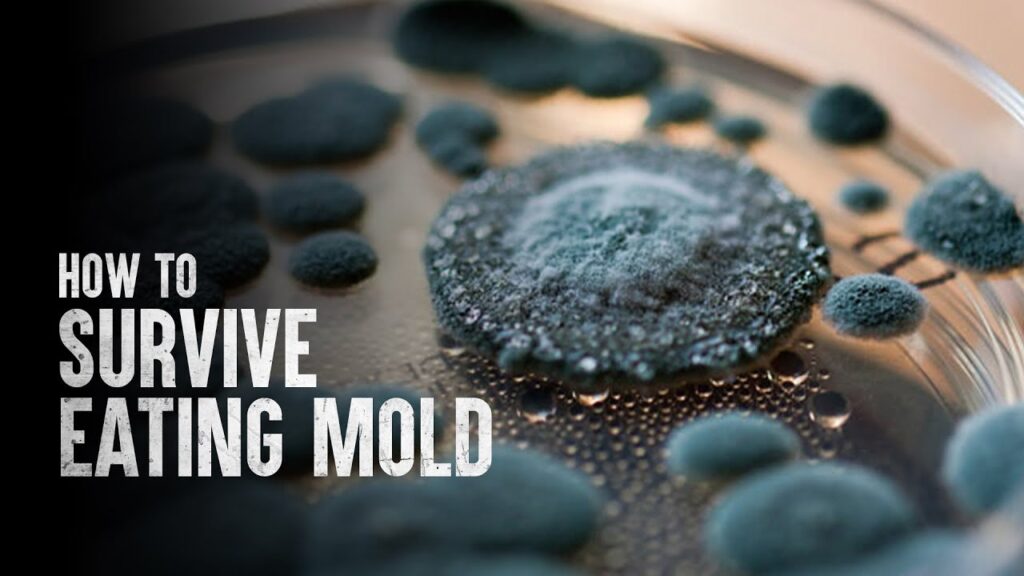 eaitng mold