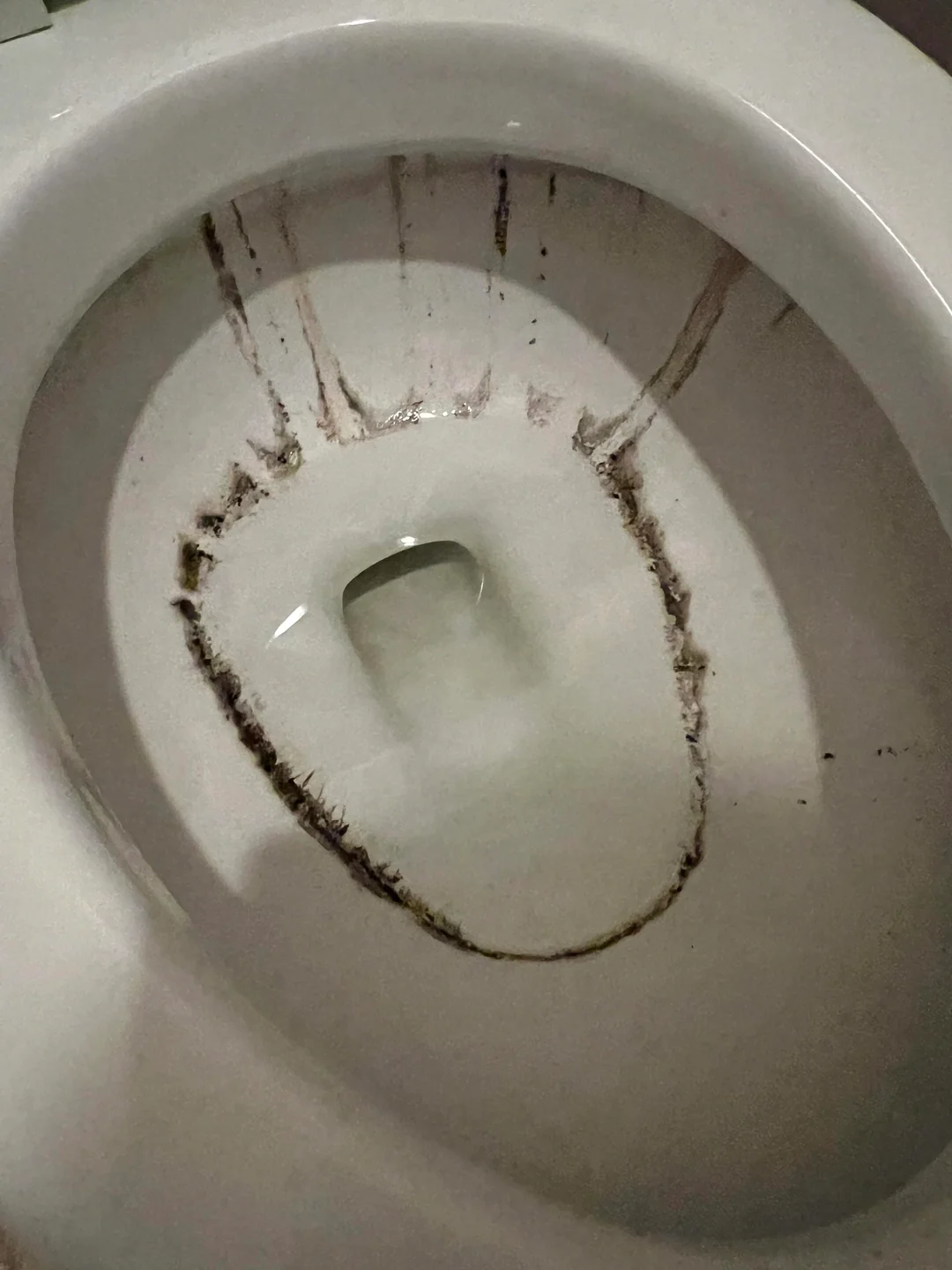 how do i deal with this reoccurring toilet rim v0 gk3tnggrnbpc1