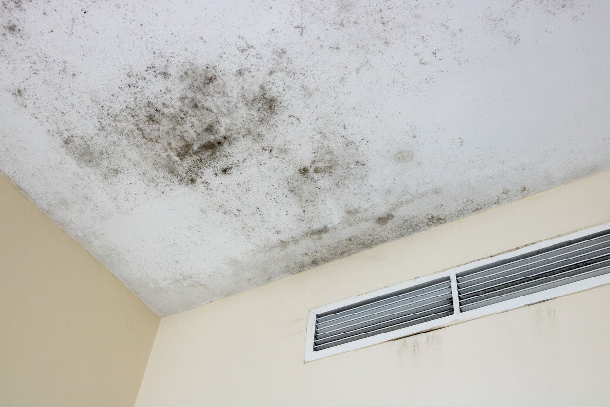 how to remove mold from popcorn ceiling 1696394065