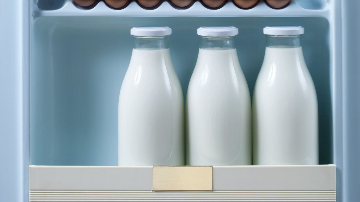 how to store milk 2000 a308230b8707404e904df5459de0ea24