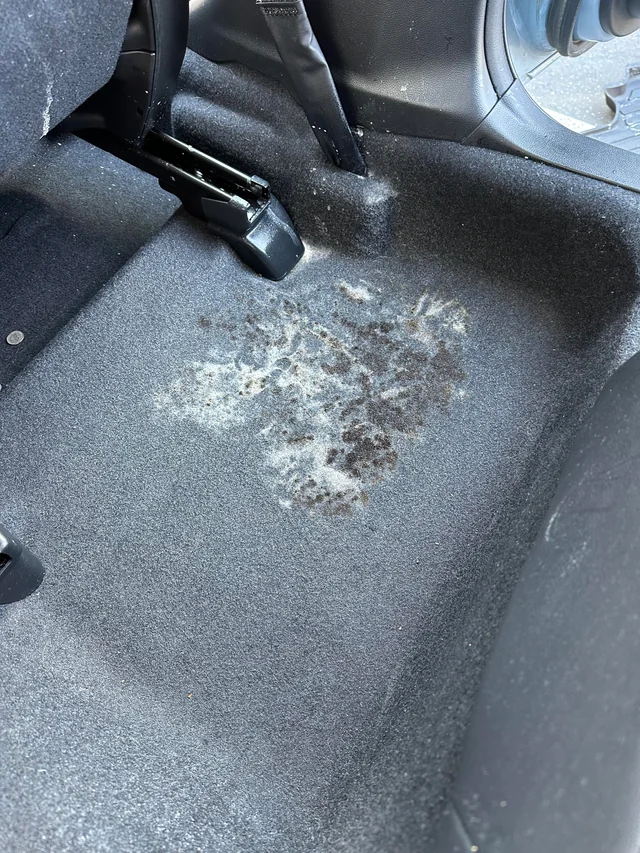 mold in car carpet v0 mnkay7oh0qua1