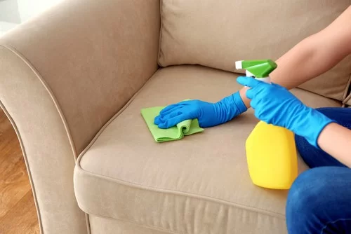 sofa cleaning