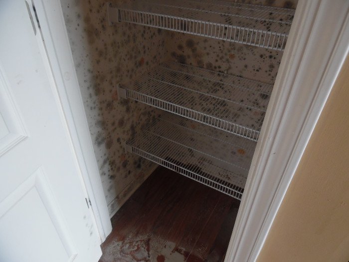 mold in closet11