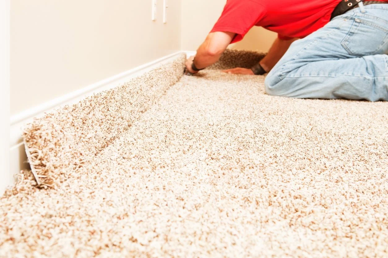 removing mold from carpets and keeping it away