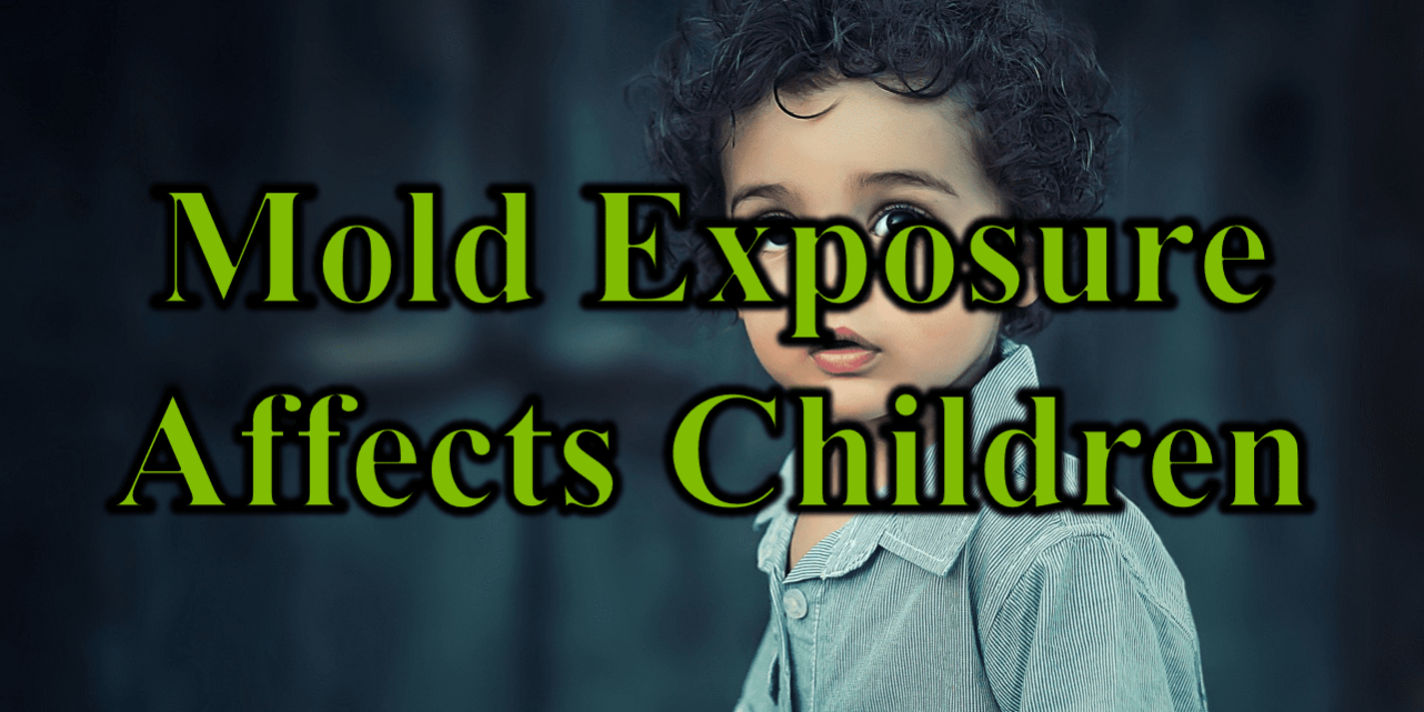 Mold Exposure and Children 1282x641 1